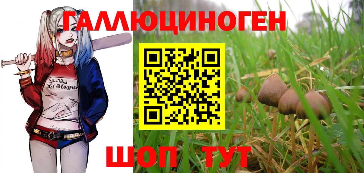 Кандалакша  Галлюциногенные грибы мицелий  магазин продажи наркотиков  Вход с VPN 